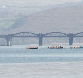Three Rivers Race 2014