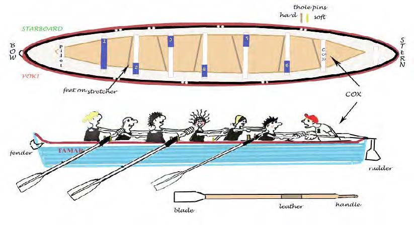 The Cornish Pilot Gig Tamar Tavy Gig Club the-cornish-pilot-gig-tamar-tavy-gig-club